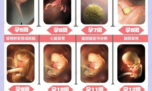 感染hpv的症状网-分享女性下面感染hpv的症状，女性感染hpv的症状知识库